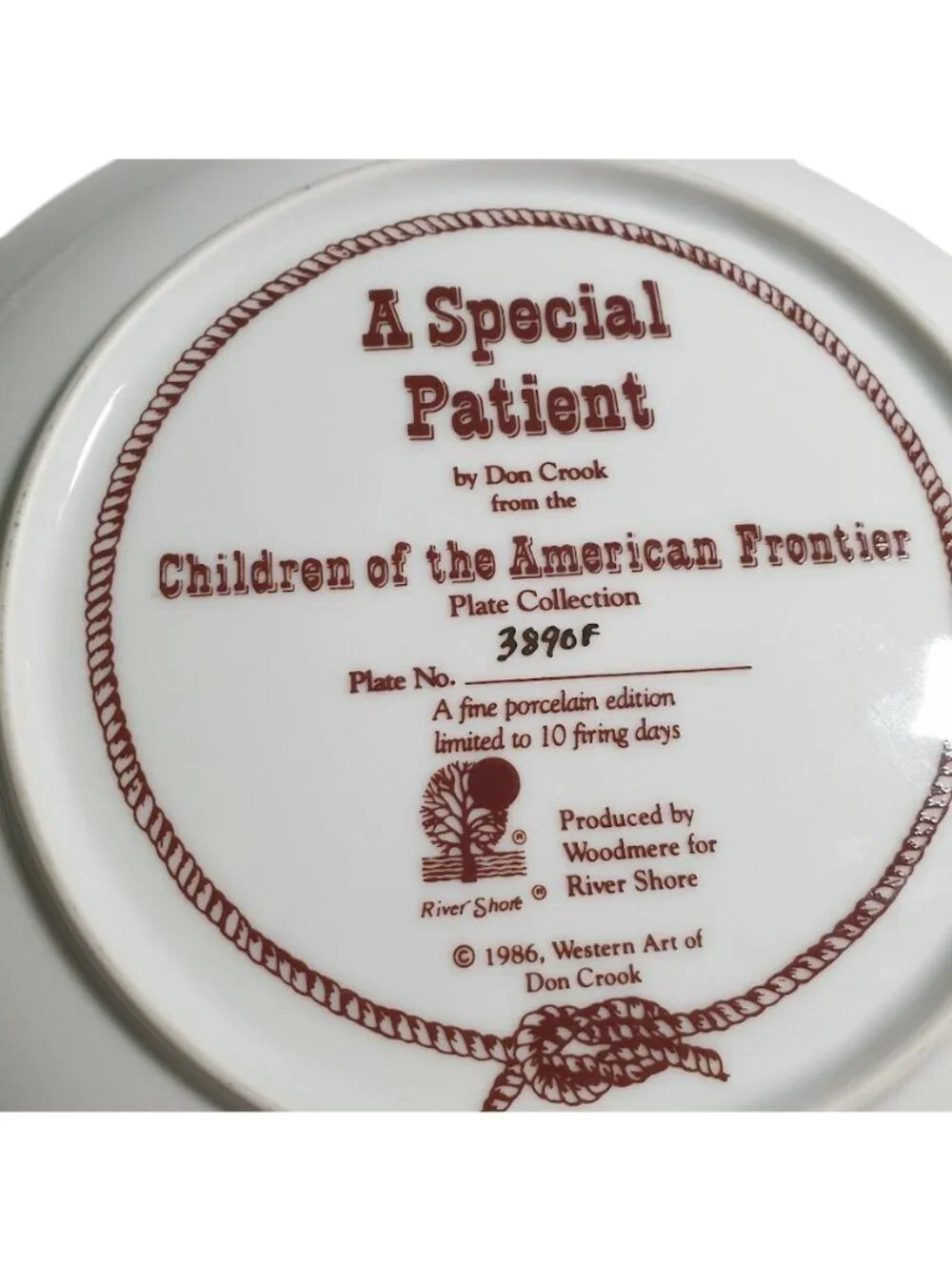 A Special Patient Don Crook Plate Children American Frontier 1986 River Shore